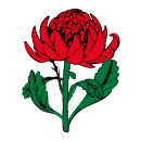 AAN Logo